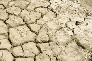 expansive clay soil