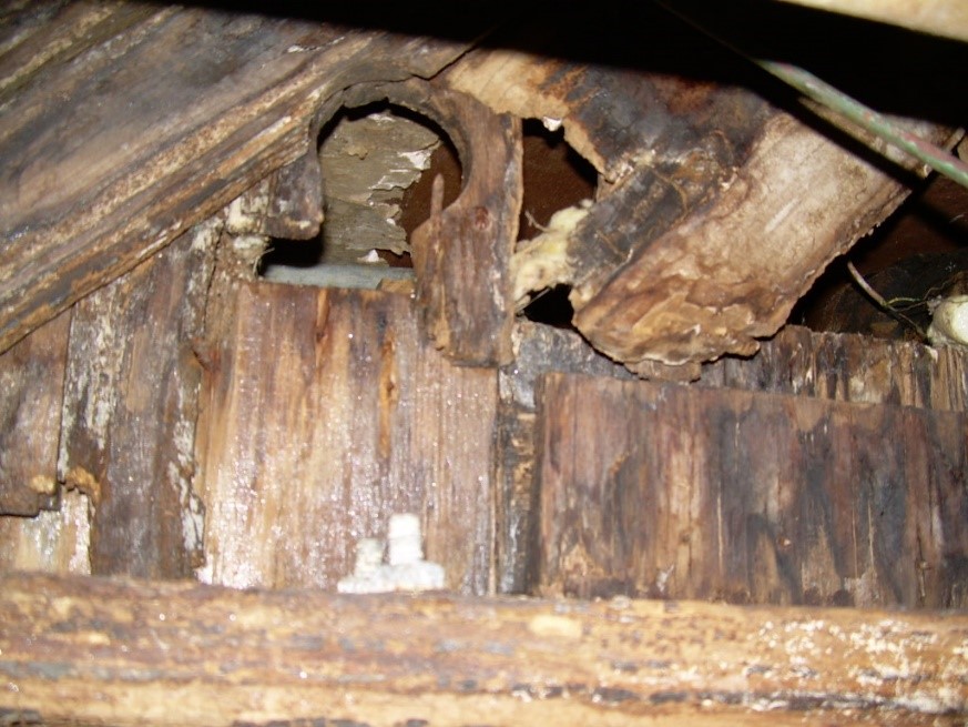 home maintenance inspection- damage