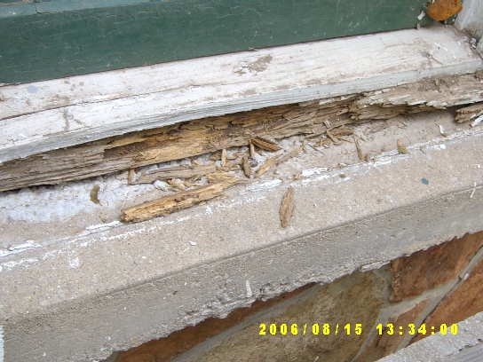 home maintenance inspection- damage