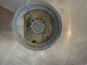 dirty dishwasher filter