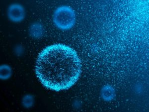 bacteria in water