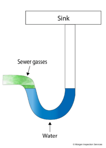 drain trap on s trap